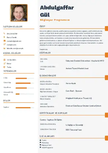 Bilgisayar Programcısı CV Örnekleri cv indir